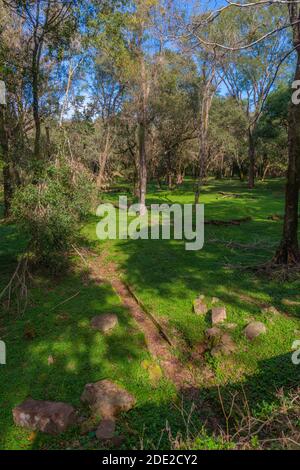 Irrgation systen in tempi antichi, rovine della missione gesuita Santa Ana, Patrimonio Mondiale dell'UNESCO, Provincia Misiones, Argentina, America Latina Foto Stock