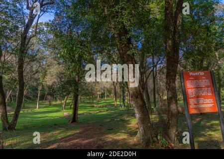 Irrgation systen in tempi antichi, rovine della missione gesuita Santa Ana, Patrimonio Mondiale dell'UNESCO, Provincia Misiones, Argentina, America Latina Foto Stock