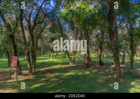 Irrgation systen in tempi antichi, rovine della missione gesuita Santa Ana, Patrimonio Mondiale dell'UNESCO, Provincia Misiones, Argentina, America Latina Foto Stock