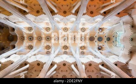 L'interno della Sagrada Familia, la cattedrale progettata da Gaudi a Barcellona, Catalogna Foto Stock