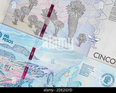 Valuta della Colombia banconote da 2000 e 5000 pesos, primo piano di denaro colombiano Foto Stock