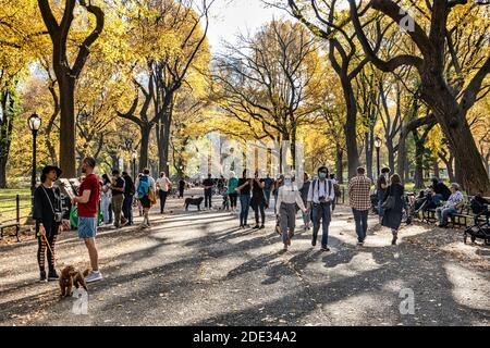 Poeta a piedi, Central Park in autunno, NYC Foto Stock