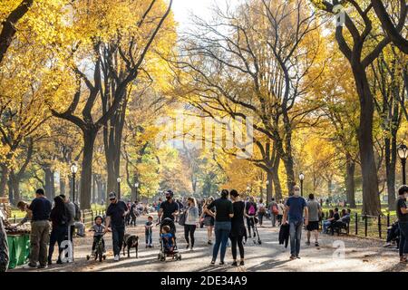 Poeta a piedi, Central Park in autunno, NYC Foto Stock