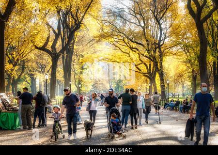 Poeta a piedi, Central Park in autunno, NYC Foto Stock
