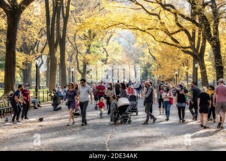 Poeta a piedi, Central Park in autunno, NYC Foto Stock