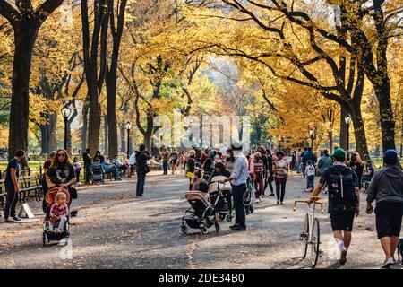 Poeta a piedi, Central Park in autunno, NYC Foto Stock