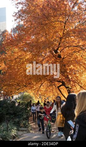 I turisti e i newyorkesi godono di un pomeriggio di autunno al Pond in Central Park, New York, USA Foto Stock