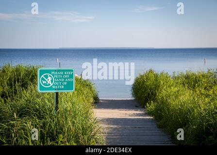 Percorso fiancheggiato da erba alla spiaggia. Foto Stock