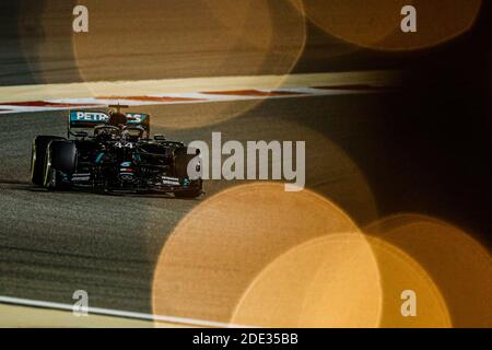 Sakhir, Bahrein. 28 novembre 2020. Durante il Gran Premio del Golfo Air Bahrain di Formula 1 2020, dal 27 al 29 novembre 2020 sul circuito Internazionale del Bahrain, a Sakhir, Bahrain - Foto Florent Gooden / DPPI / LM Credit: Gruppo Editoriale LiveMedia/Alamy Live News Foto Stock