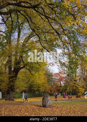 Estate indiana, Hirschpark ad Amburgo-Blankenese, Germania, Europa Foto Stock