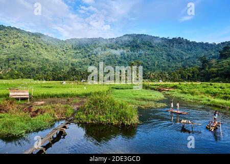 I ragazzi poling zattere pesce utilizzando una rete. Dietro di loro ci sono campi di riso e poi la giungla del Gunung Palung National Park situato sul Borneo in Indonesia Foto Stock