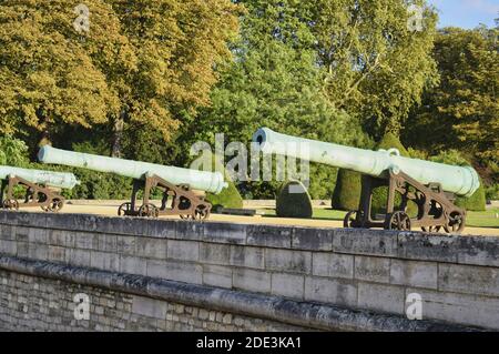 Vecchi cannoni allineati all'esterno vicino agli alberi Foto Stock