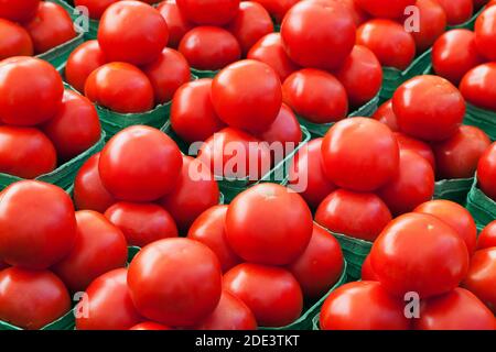 Pomodori al mercato agricolo, Byward Market, Ottawa, Ontario, Canada Foto Stock