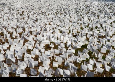 Washington DC, 28 novembre 2020, USA: Centinaia di migliaia di piccole bandiere bianche che rappresentano le persone che sono morte dalla linea COVID-19 una piccola area vicino allo stadio RFK a Washington DC. L'artista, Suzanne Brennan Firstenberg ha voluto creare un memoriale simile al Quilt AIDS, per onorare coloro che sono morti. Patsy Lynch/MediaPunch Credit: MediaPunch Inc/Alamy Live News Foto Stock