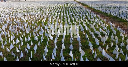 Washington DC, 28 novembre 2020, USA: Centinaia di migliaia di piccole bandiere bianche fiancheggiano la zona vicino allo stadio RFK a Washington DC per onorare quelle w Foto Stock