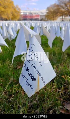 Washington DC, 28 novembre 2020, USA: Una piccola bandiera, una delle centinaia di migliaia di bandiere ha il nome di una vittima COVID-19.The memoriale a Washington Foto Stock