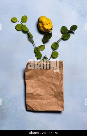 Borsetta di carta sminuzzata, mela cotogna gialla matura e rami di albero verde direttamente dall'alto. Frutta e foglie hanno imperfezioni naturali, macchie Foto Stock