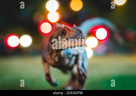 statuetta in plastica di velociraptor studio girato. giocattolo di bambini Foto Stock