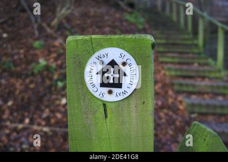 Piccolo cartello che indica St Cuthbert's Way su un palo di legno coperto di muschio di fronte ai gradini accanto al fiume Tweed, Roxburghshire, Scottish Borders, UK. Foto Stock