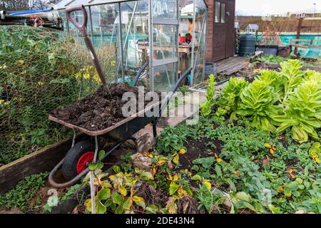 Giardino di assegnazione con verdure, serra e carriola piena di concime e di vanga, Kilwinning, Ayrshire, UK Foto Stock