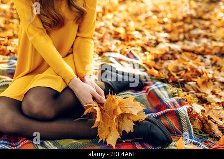 La ragazza si siede nel Parco d'autunno su una coperta, con un bouquet autunnale di foglie in mano. Il concetto di autunno Foto Stock