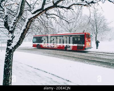 Toronto, Ontario, Canada - 22 novembre 2020: Toronto trasporto pubblico TTC autobus rosso durante l'inverno pesante nevicata neve caduta all'aperto in città strada. Neve Foto Stock