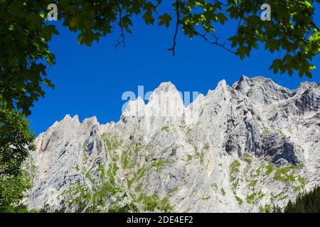 Engelhoerner, Oberland Bernese, Rosenlauital, Svizzera Foto Stock