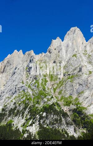 Engelhoerner, Oberland Bernese, Rosenlauital, Svizzera Foto Stock