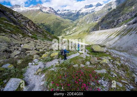 Escursionista su sentieri segnalati, discesa dal Corno di Schoenbichler a Berliner Huette, paesaggio morenico, ghiacciaio Waxeggkees, Berliner Hoehenweg Foto Stock