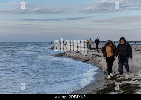 Falsterbo, Svezia - 15 novembre 2020: La gente sta camminando in una riserva naturale per vedere una colonia di foche del porto. Molti godono la natura mentre mantengono la distanza sociale durante i tempi della corona Foto Stock