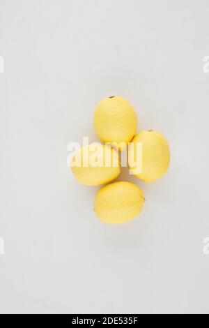 Ingredienti freschi di limonata Foto Stock