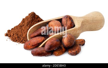 cacao fagioli in scoop Foto Stock