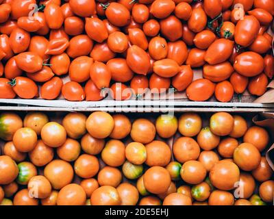 Due gabbie orizontali di pomodori gialli e rossi freschi appena selezionato dalla campagna Foto Stock