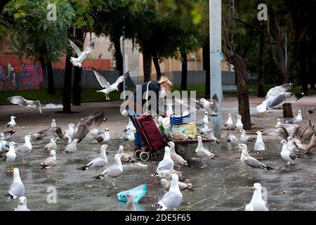 Donna che alimenta gabbiani, Barcellona, Spagna. Foto Stock