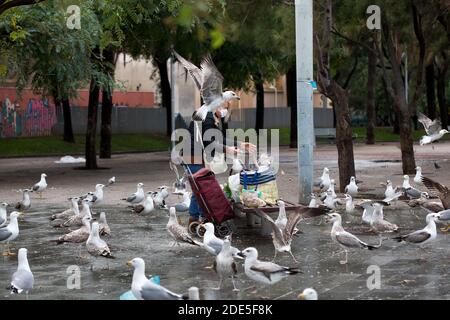 Donna che alimenta gabbiani, Barcellona, Spagna. Foto Stock