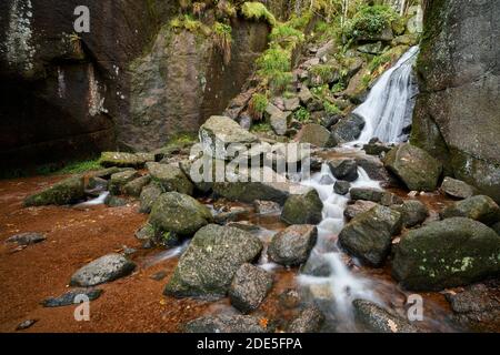 Burn o' VAT, un postolo glaciale, Muir of Dinnett National Nature Reserve, Aberdeenshire, Scozia Foto Stock