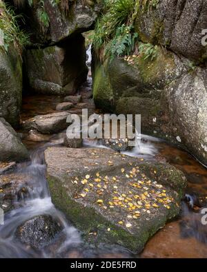 Ingresso al Burn o' Vat, una pootola glaciale, Muir of Dinnet National Nature Reserve, Aberdeenshire, Scozia Foto Stock