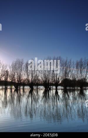 Prato d'acqua di Eynsham, Oxfordshire, Inghilterra, Regno Unito Foto Stock