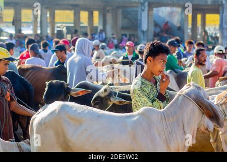 Mattina presto al mercato dell'asta di bestiame di Padre Garcia a Batangas, Filippine Foto Stock