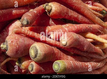 Un primo piano di carote fresche visualizzate sul mercato Foto Stock