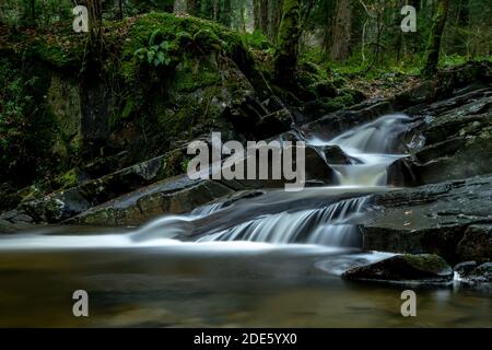 Lago Vyrnwy Foto Stock