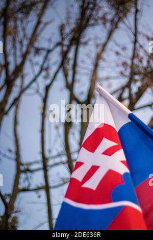 Bandiera nazionale slovacca nell'aria contro l'anti-governo slovacco dimostrazione contro le restrizioni del virus corona Foto Stock