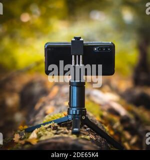 Telefono cellulare su treppiede di piccole dimensioni montato su un albero in foresta Foto Stock
