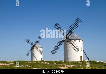 Mulino a vento tradizionale a campo de Crippana, la Mancha, Ciudad Real, Spagna Foto Stock
