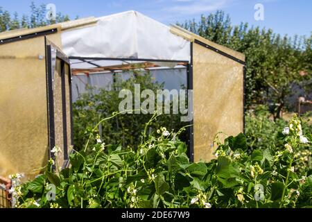 Cucina giardino con un attico Foto Stock