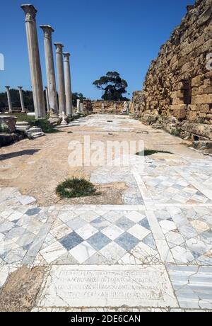 Antico sito archeologico romano di Salamis vicino a Famagosta nel nord Cipro Foto Stock