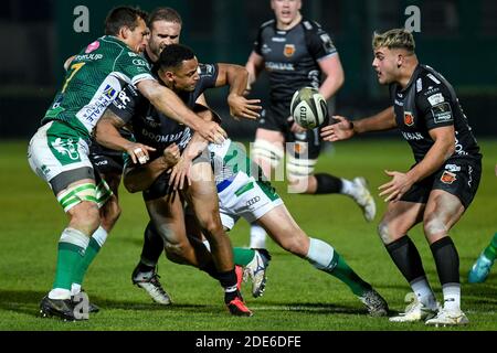 Treviso, Italia. 29 Nov 2020. Treviso, Italia, Monigo Stadium, 29 Nov 2020, Ashton Hewitt (Dragons) in azione durante Benetton Treviso vs Dragons Rugby - Rugby Guinness Pro 14 match - Credit: LM/Ettore Griffoni Credit: Ettore Griffoni/LPS/ZUMA Wire/Alamy Live News Foto Stock