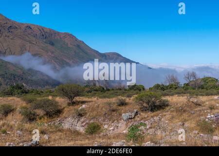 Un viaggio sulla N 9 a nord della provincia Jujuy di Jujuy, Argentina nord-occidentale, America Latina Foto Stock