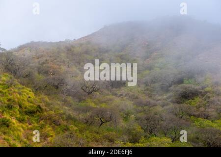 Un viaggio sulla N 9 a nord della provincia Jujuy di Jujuy, Argentina nord-occidentale, America Latina Foto Stock