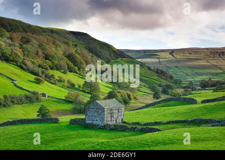 Fieno Barn in Upper Swaledale in autunno, Yorkshire Dales, Inghilterra, Regno Unito. Foto Stock